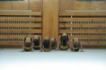 /album/fotogalerie-archiv-2002-2015/prstice-052-jpg/